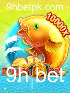 DragonKoi: Guia Completo Sobre o Novo Fenômeno de Jogo de Apostas 9h bet
